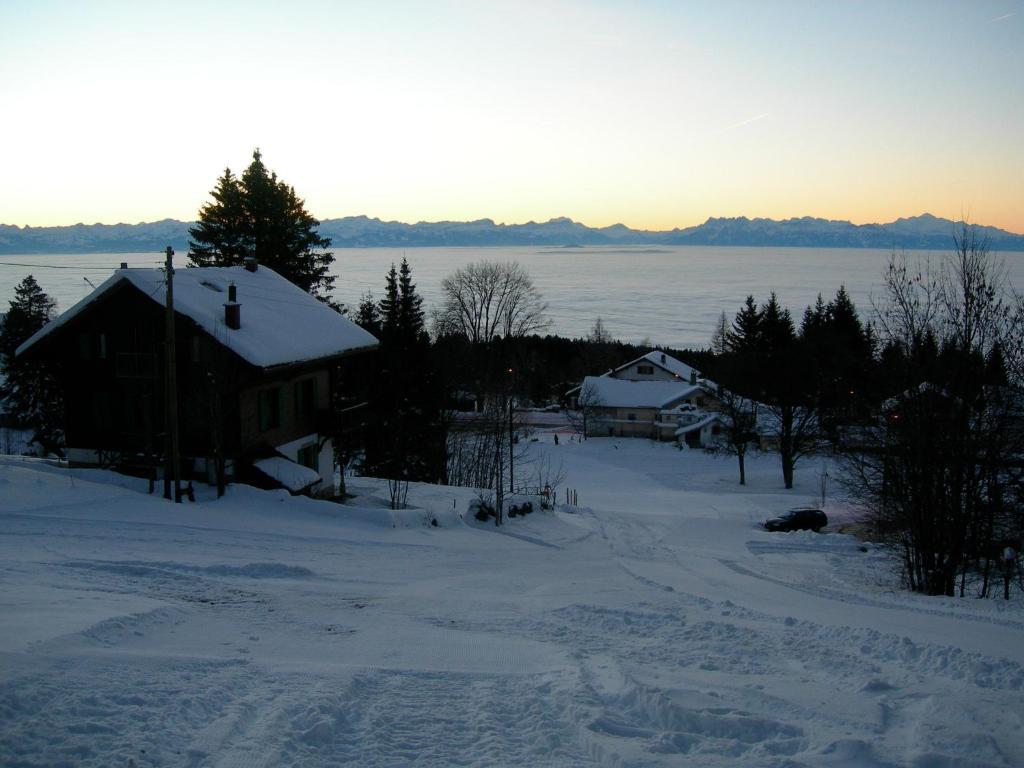 Le Coucou Et Chalet Beau-Site Hotel Les Rasses Esterno foto